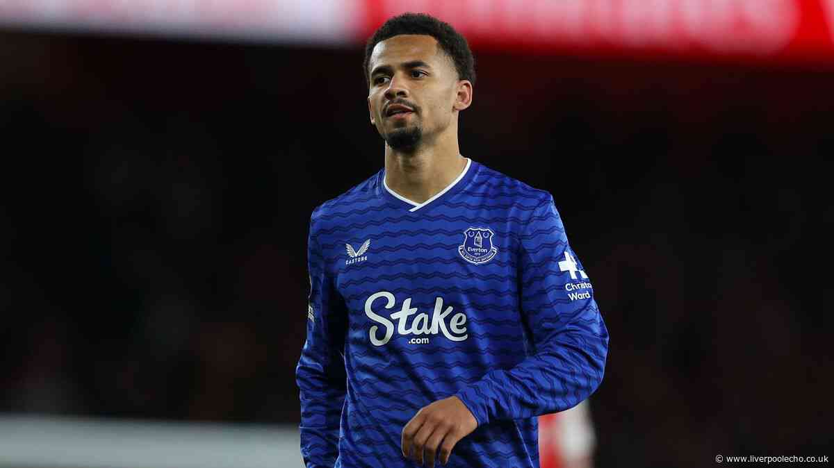 David Moyes' Iliman Ndiaye challenge clear says ex-Everton star who outlines transfer dilemma