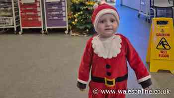 Welsh toddler with 'sickness bug' told to go 1,100 miles for treatment
