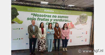 Murcia domineert Europese broccolimarkt met €501 miljoen export