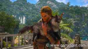 Where To Find Monkey And Cat Pets In Assassin’s Creed Black Flag Resynced