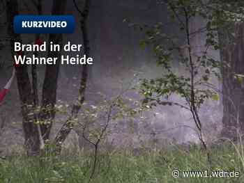 Großbrand in Wahner Heide: Brandursache weiter unklar