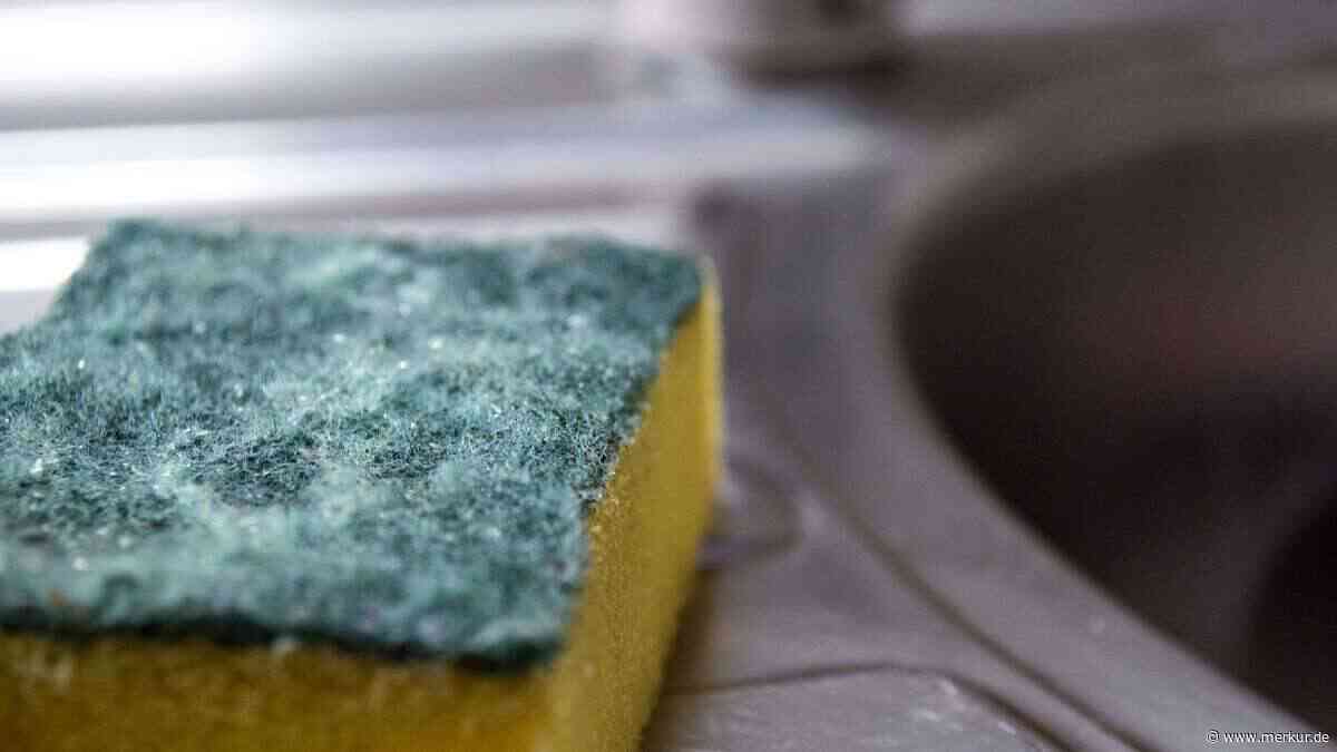 Neue Studie verdeutlicht das Gesundheitsrisiko von Küchenschwämmen