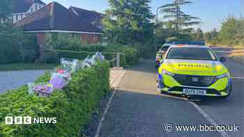 International manhunt for suspect in deaths of mum and children