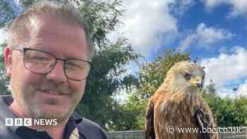 Soaring temperatures ground birds of prey