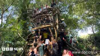 Treehouse to be torn down over insurance issues