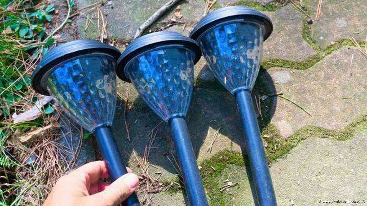 Gardeners urged to do 1 simple task in July to make solar garden lights shine brighter