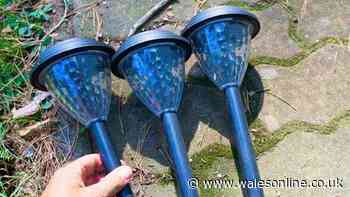 Gardeners urged to do 1 simple task in July to make solar garden lights shine brighter