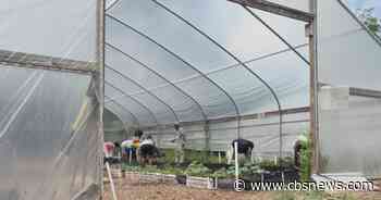Metro Atlanta urban farm gives veterans and students skills that last a lifetime
