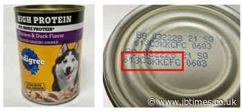 Dog Food Meant to Be Destroyed Was Sold Instead: Metal and Plastic Contamination Triggers Pedigree Recall