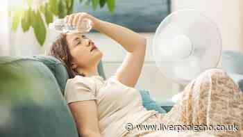 EDF major heatwave update as UK households could get £100 boost