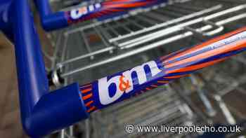 Fix common garden issue with £4 item at B&M that's 'durable and easy to use'