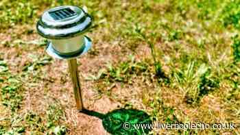 Make your solar garden lights shine brighter and last longer with 1 easy July task