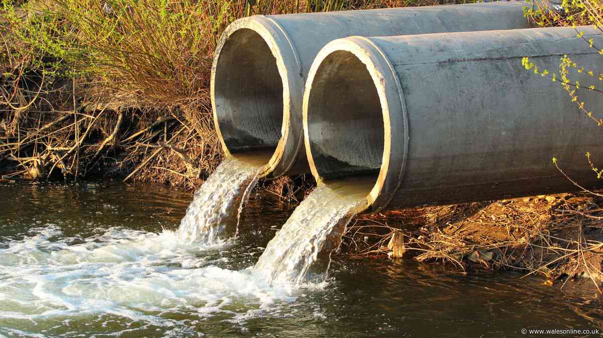 Severn Trent Water spared fine despite serious sewage failures