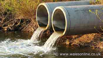 Severn Trent Water spared fine despite serious sewage failures