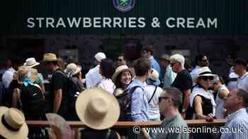 Wimbledon fans rage as scones replaced by Welsh cakes - 'what's this Welsh rubbish?'
