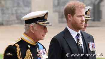King Charles ‘tested beyond endurance’ over Prince Harry’s Buckingham Palace accommodation row