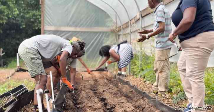 Metro Atlanta Urban Farm helps veterans, students and families grow food and stronger communities