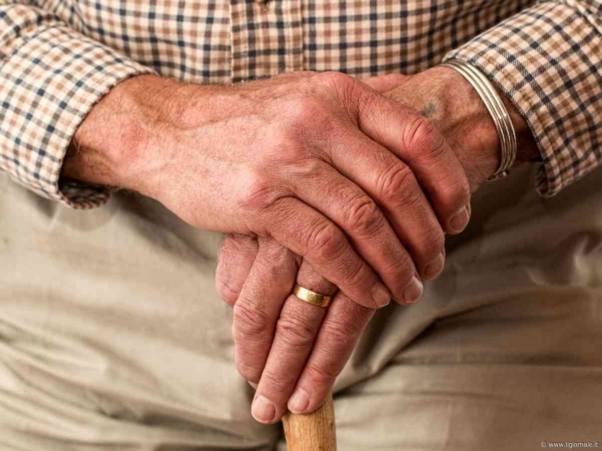 Luglio, tutti i pagamenti Inps: dalla quattordicesima agli assegni, cosa sapere
