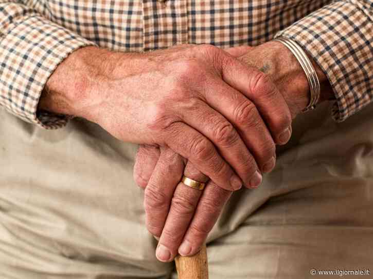 Luglio, tutti i pagamenti Inps: dalla quattordicesima agli assegni, cosa sapere