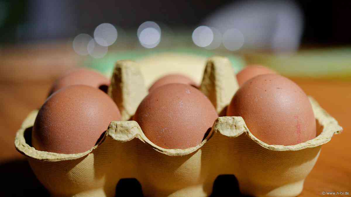 Mangellage im Großraum Berlin : Netto beschränkt Eierkauf im Norden und Osten