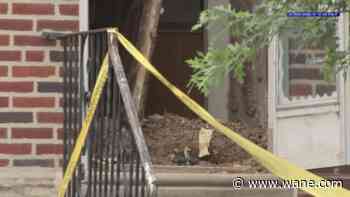 Children found living in unsafe conditions at squalid Northeast Philadelphia home with dead animals