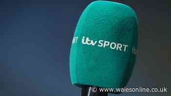 ITV World Cup pundit apologises as he 'sparks complaints' with on-air comment