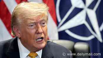 Trump torches Spain as a 'wasted cause' and looks to freeze VISITS in extraordinary snub