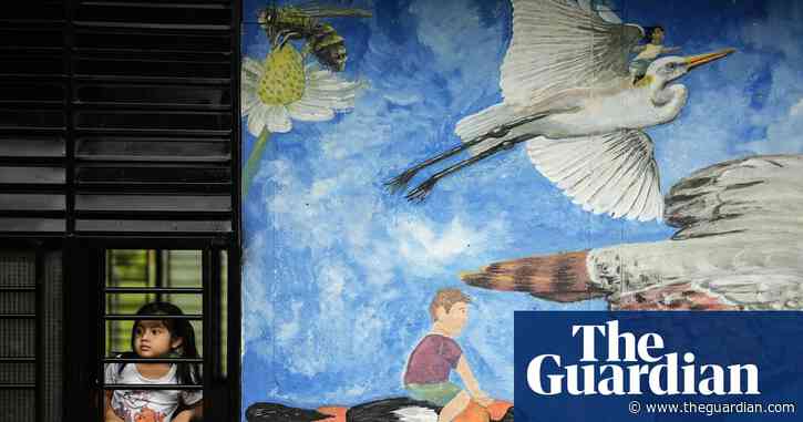 ‘We won’t give up, we’ll keep fighting’: activists in Colombia vow to resist far-right push for fossil fuels