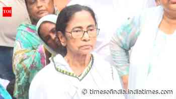 'Chor, chor': Eggs thrown at Mamata Banerjee's rally in West Bengal; watch