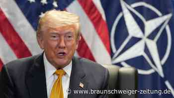 Auf Trump ist kein Verlass: Ein stärkeres Europa in einer schwächeren Nato?