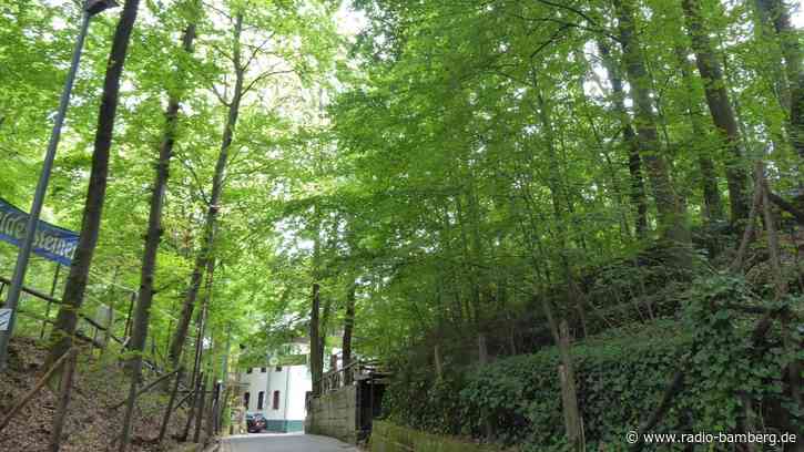 Forchheimer Kellerwald wird fit für die Zukunft gemacht