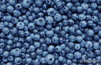 Frozen blueberries recalled over reports of E. Coli contamination