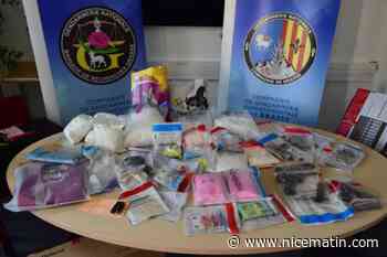 10 Kg de Kétamine retrouvés dans des croquettes pour chiens livrées aux mauvais destinataires... Les deux principaux dealers en détention provisoir