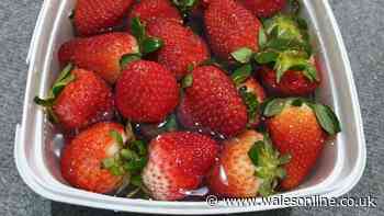 Strawberries stay fresher 'much longer' with 1 simple storage hack