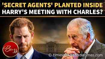 Royal Experts Reveal Why Prince Harry And King Charles Are Reportedly Never Left Alone Together