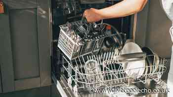 Banish musty dishwasher smells by putting 1 natural item in top rack