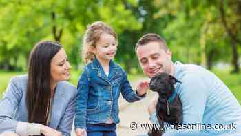 Kids need to learn this 'do not approach' sign from dog owners
