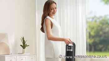 'Powerful' tower fan comparable to 'Dyson' back in stock amid scorching heatwave