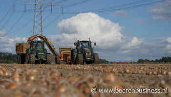 Europese uienoogst groeit naar record 7,4 miljoen ton