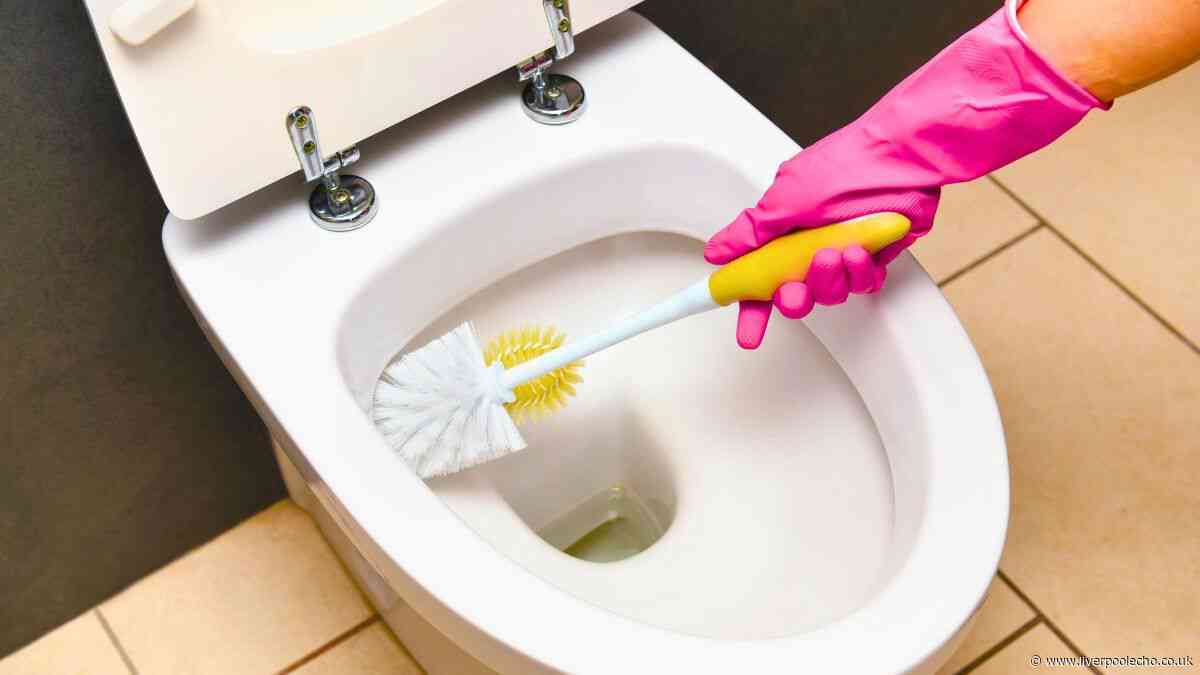 Toilets will stay clean from germs and stains if you ditch bleach for a better item