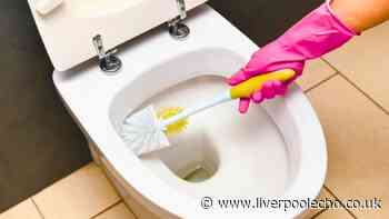 Toilets will stay clean from germs and stains if you ditch bleach for a better item