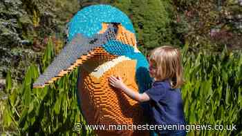 Giant Lego animals coming to RHS Garden Bridgewater's summer sculpture trail