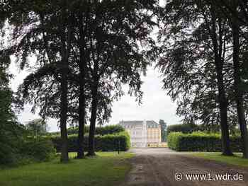 Gefahr durch Astbruch - Brühler Schlosspark gesperrt