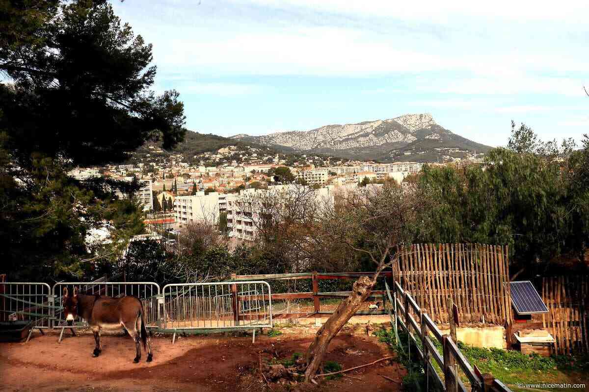 Envie de cinéma en plein air ? 6 soirées ciné autour de l’environnement sont programmées à l’Ecoferme de La Barre à Toulon cet été