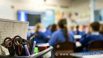 Hundreds of incidents of racism recorded in Cardiff schools over a year