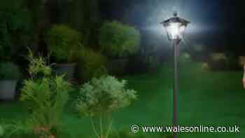 'Bright and beautiful' outdoor solar lamp for gardens and paths drops to £6