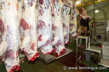 NFU urges action as small abattoirs disappear from rural Britain