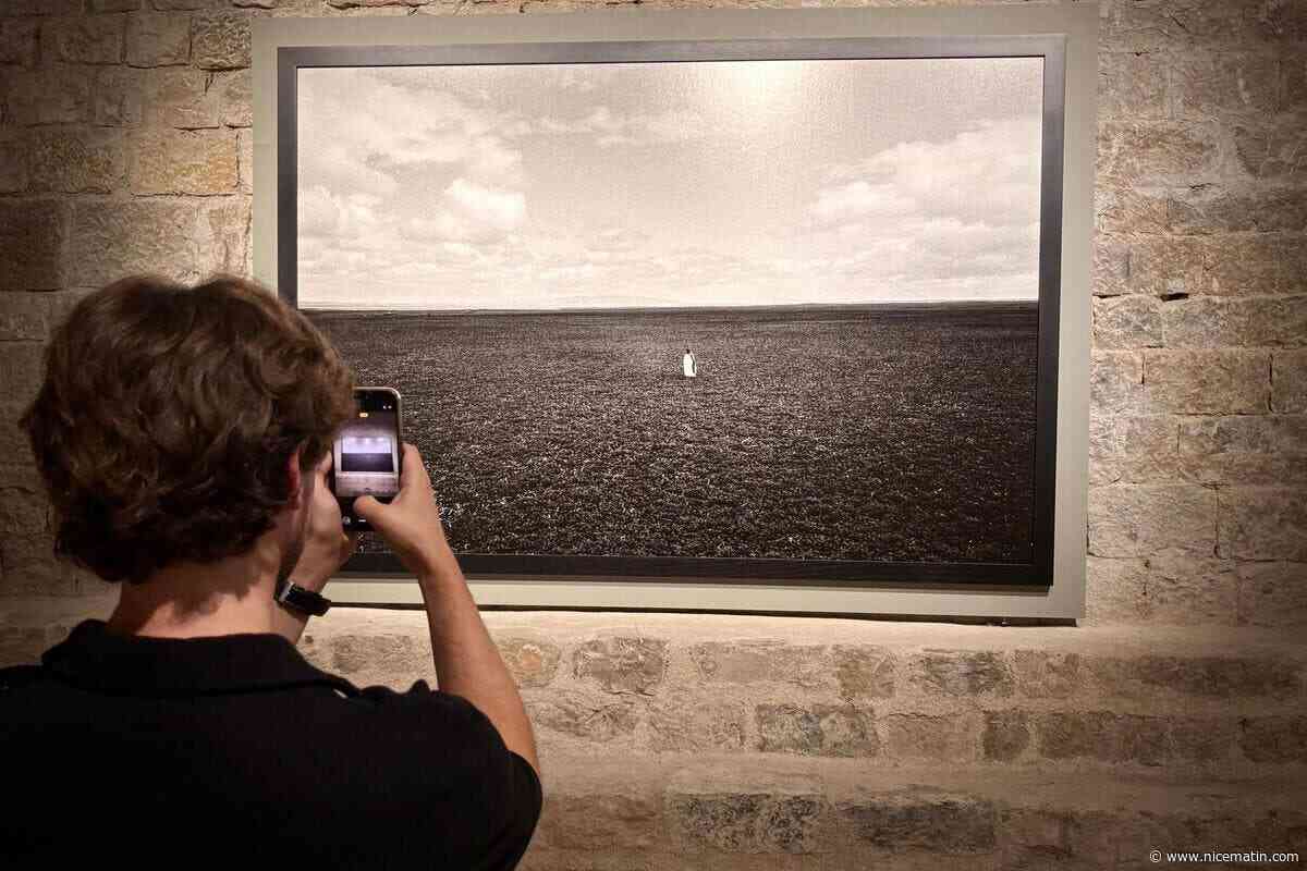 « On me traite d’artiste, car je ne suis pas assez bon pour faire des photos où l’on reconnaît le sujet ! » : Klavdij Sluban s’expose sur les murs de l’abbaye de La Celle