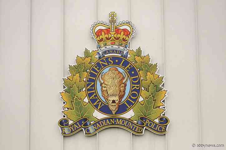 Man, 33, facing 16 charges following property crimes in Chilliwack