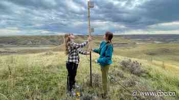 Canada-wide nocturnal bird sound migration tracker takes flight